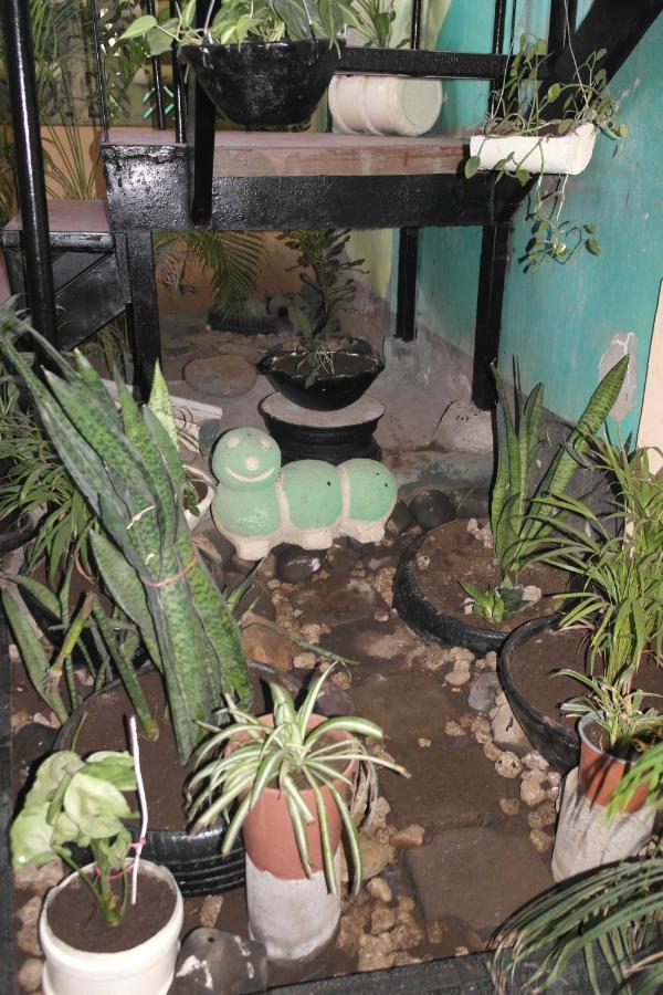 מנאגווה Hostal Nicaragua Guest House מראה חיצוני תמונה